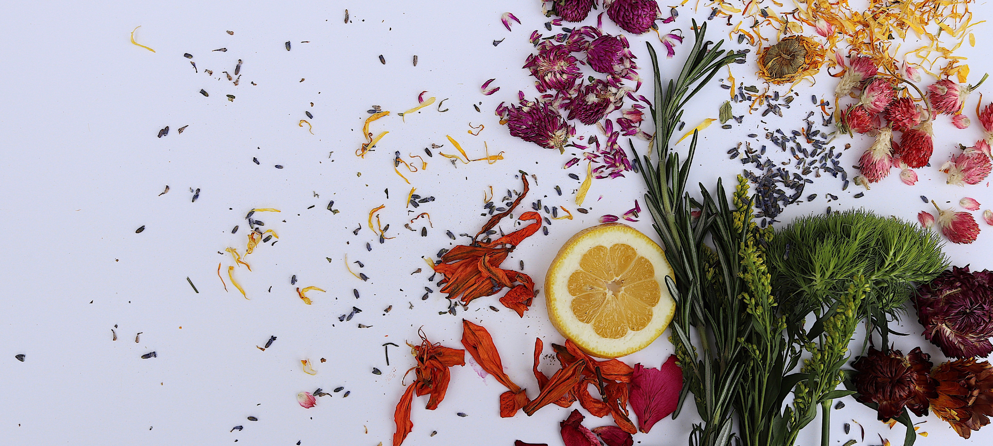 Hormone-safe skincare education for professionals