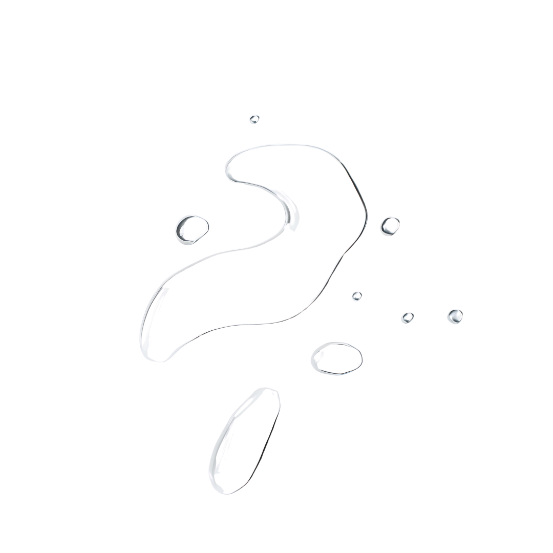 Desincrustation Solution - PRO